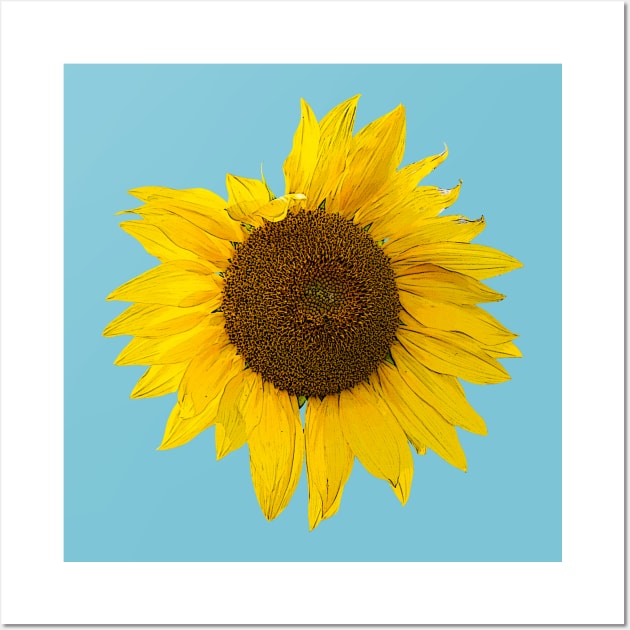 Sunflower Wall Art by Amalus-files